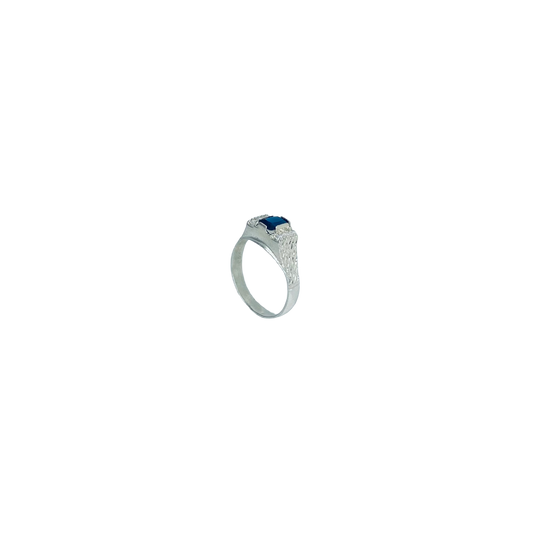 Ring 6